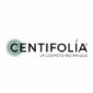 Centifolia